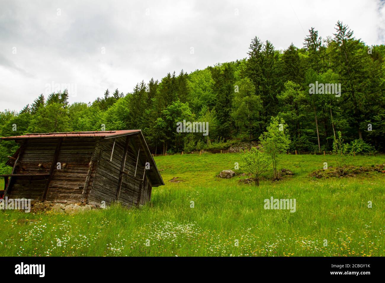 A small wooden cabin built on a mountain slope by a forest in Switzerland. Image features grassland with daisies as well as trees against cloudy sky i Stock Photo