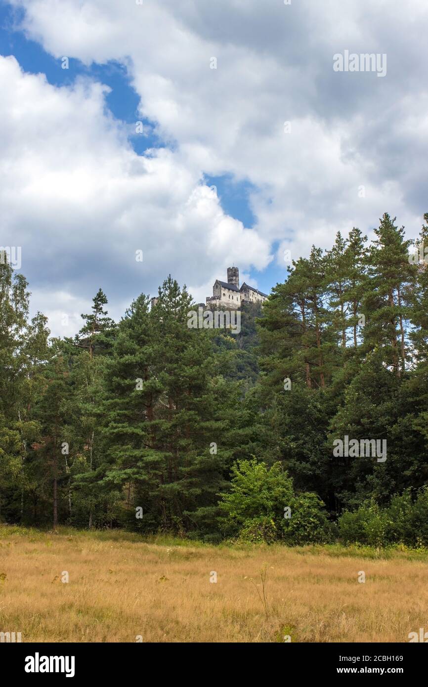 Panoramic view of Bezdez castle in the Czech Republic. In the foreground there are trees, in the background is a hill with castle and there are a whit Stock Photo