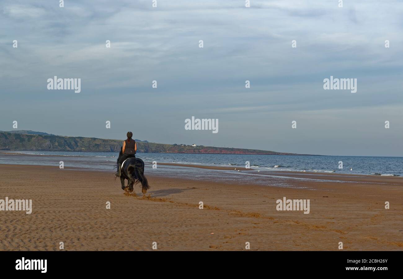 A female Horse Rider and her Black Horse cantering down the deserted beach at St Cyrus at low tide on a warm sunny September evening. Stock Photo