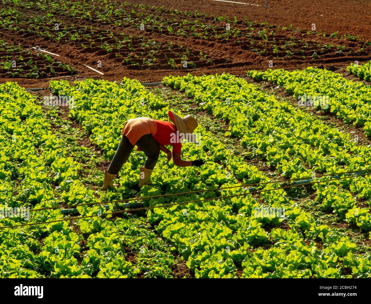 Rural people rio de janeiro, brazil hi-res stock photography and images ...