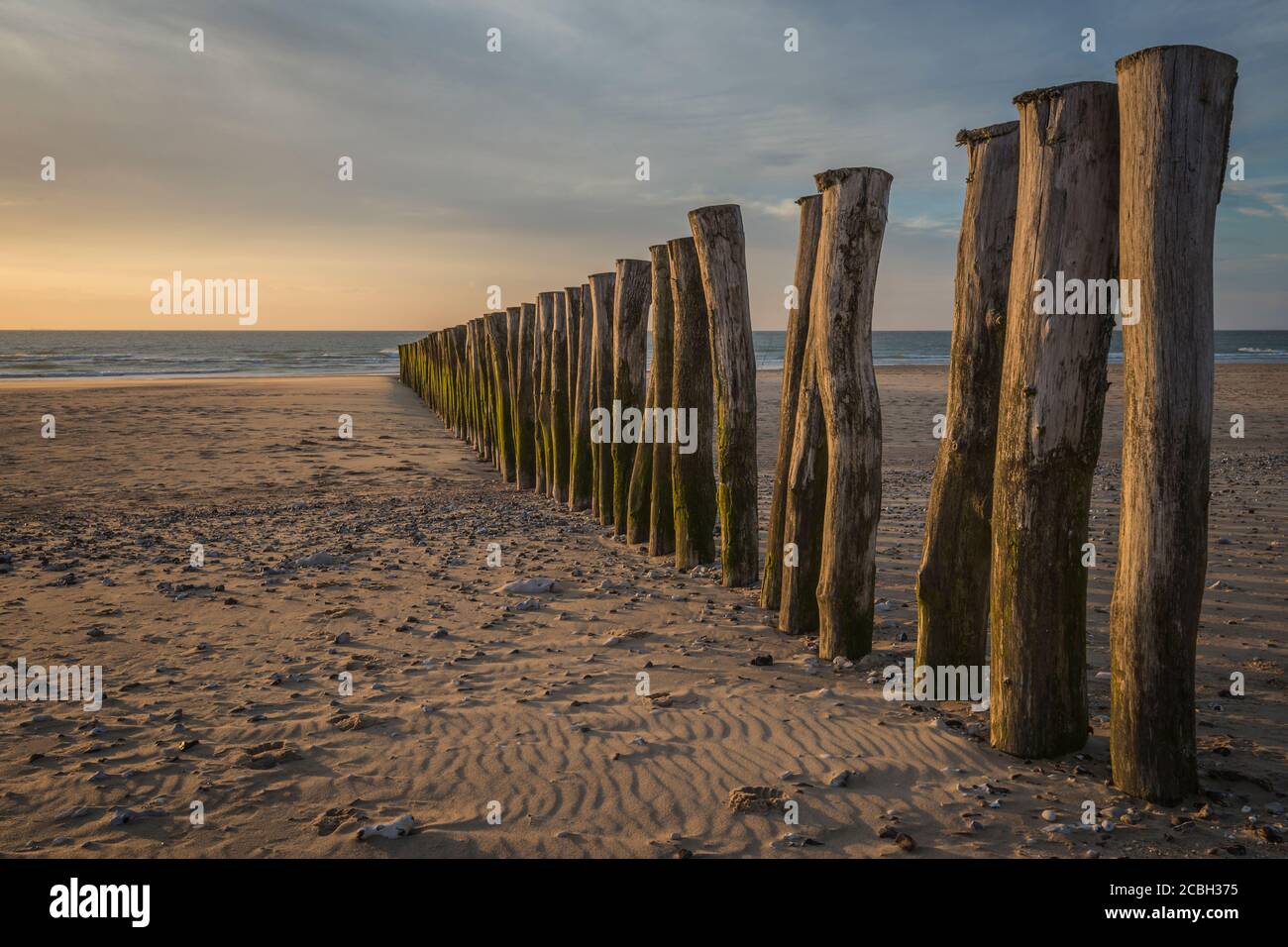 Wooden fence on the beach of Calais at sunset Stock Photo - Alamy