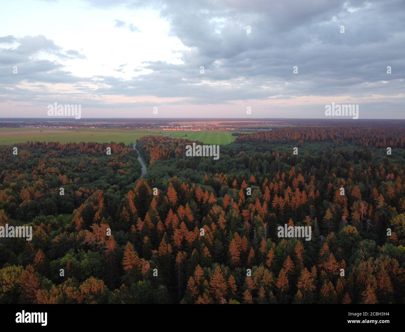 summer green forest in the rays of the setting sun aerial photography Stock Photo