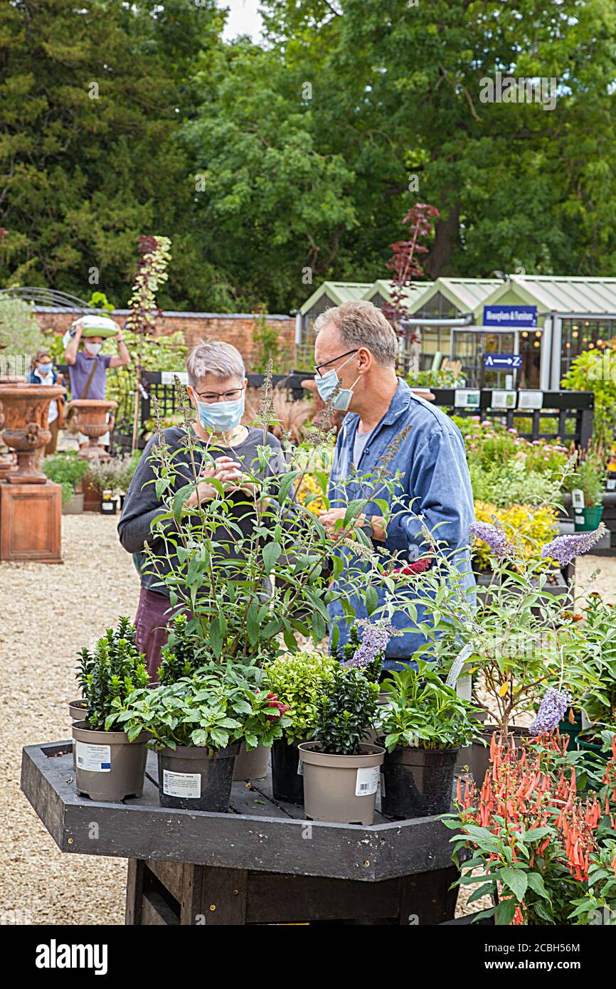 Couple man and woman shopping outdoors at a garden center  wearing face masks covering Stock Photo