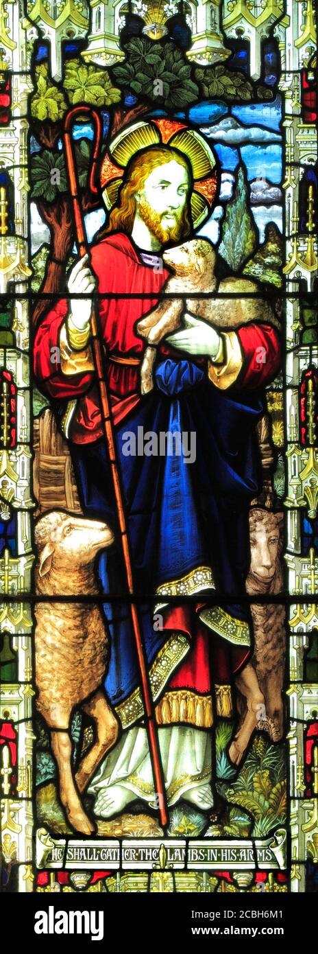 Jesus Christ with lamb, sheep, shepherd's crook, stained glass window,  'He Shall Gather the Lambs in His Arms,'by A.L.Moore, Brinton, Norfolk, UK Stock Photo