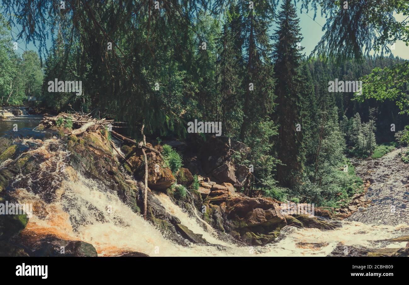Mountain river in dense forest. rocky watercourse. woodland creek