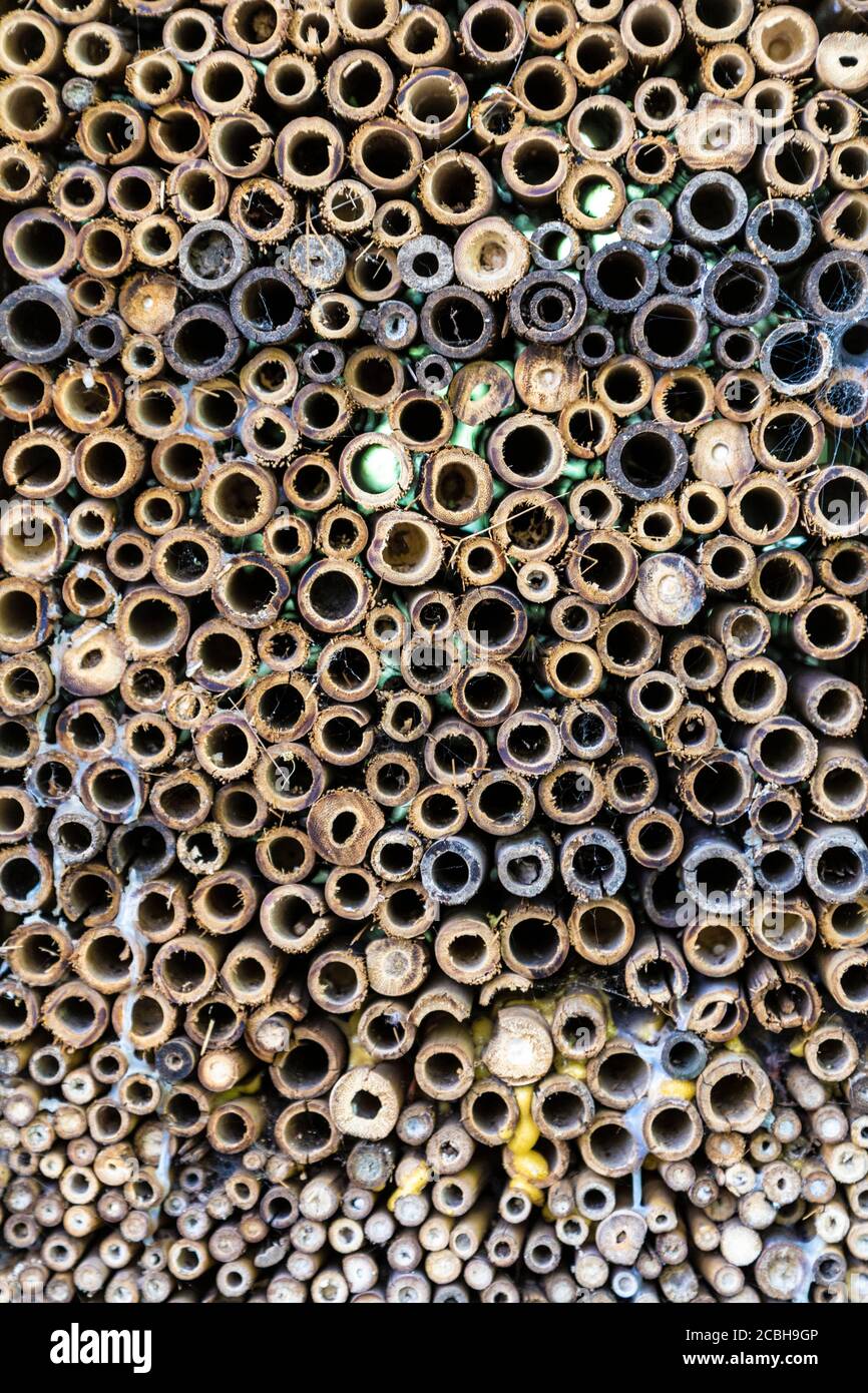 Close-up of a bug hotel in a London park Stock Photo