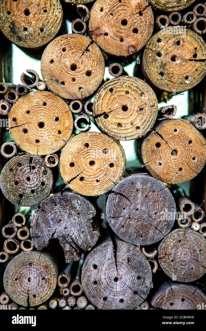 Close-up of a bug hotel in a London park Stock Photo