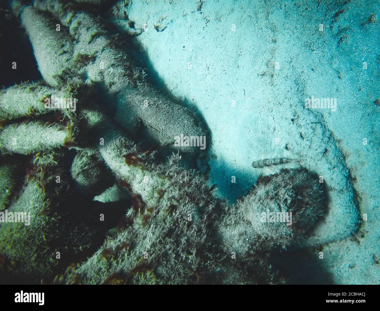 Detail of the "Human Circle" underwater sculpture by artist Jason