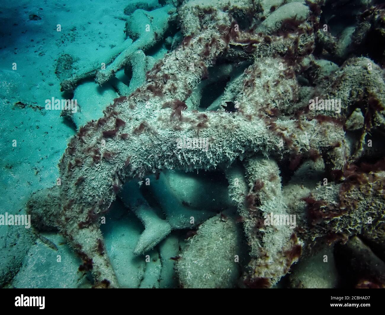 Detail of the "Human Circle" underwater sculpture by artist Jason