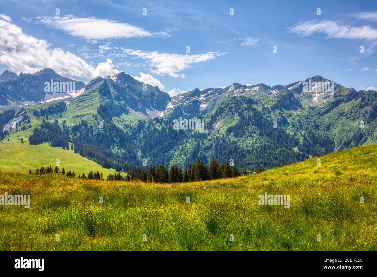 hiking near les mosses in the swiss alps, summer Stock Photo