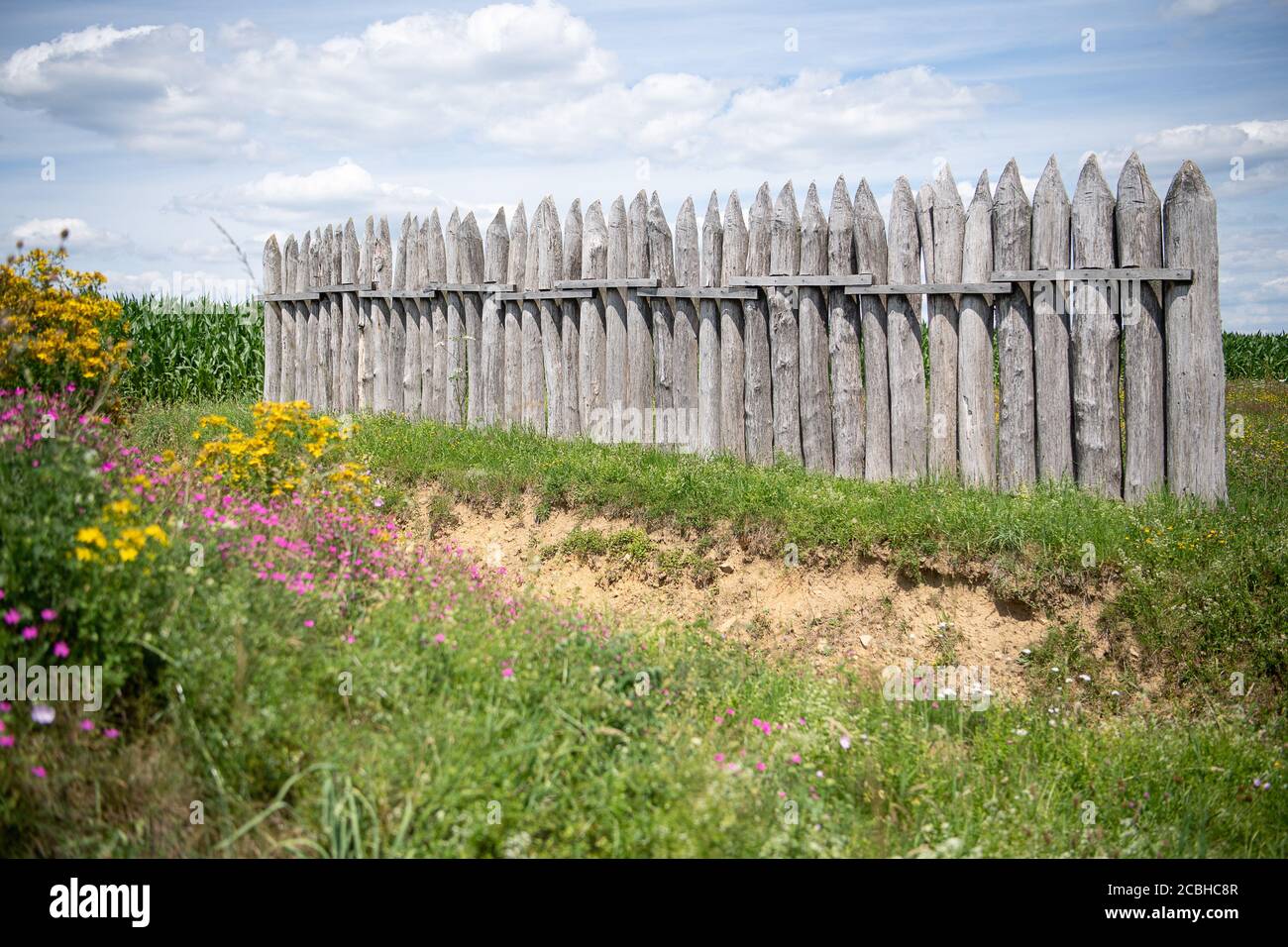 Welzheim, Germany. 13th July, 2020. Reconstructed wooden palisades of the Limes stand on a meadow. The border rampart was the outer border of the Roman Empire between the Rhine and Danube. (to dpa: 'L for Limes - barbarians had to stay outside') Credit: Sebastian Gollnow/dpa/Alamy Live News Stock Photo