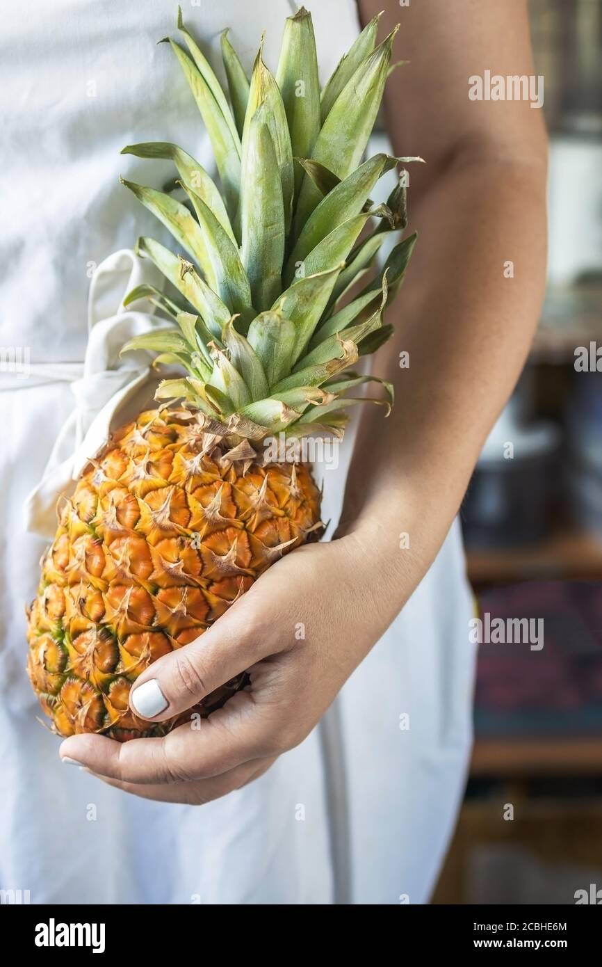 cropped young woman in a white cook apron holding a ripe and juicy pineapple in her hands. Stock Photo