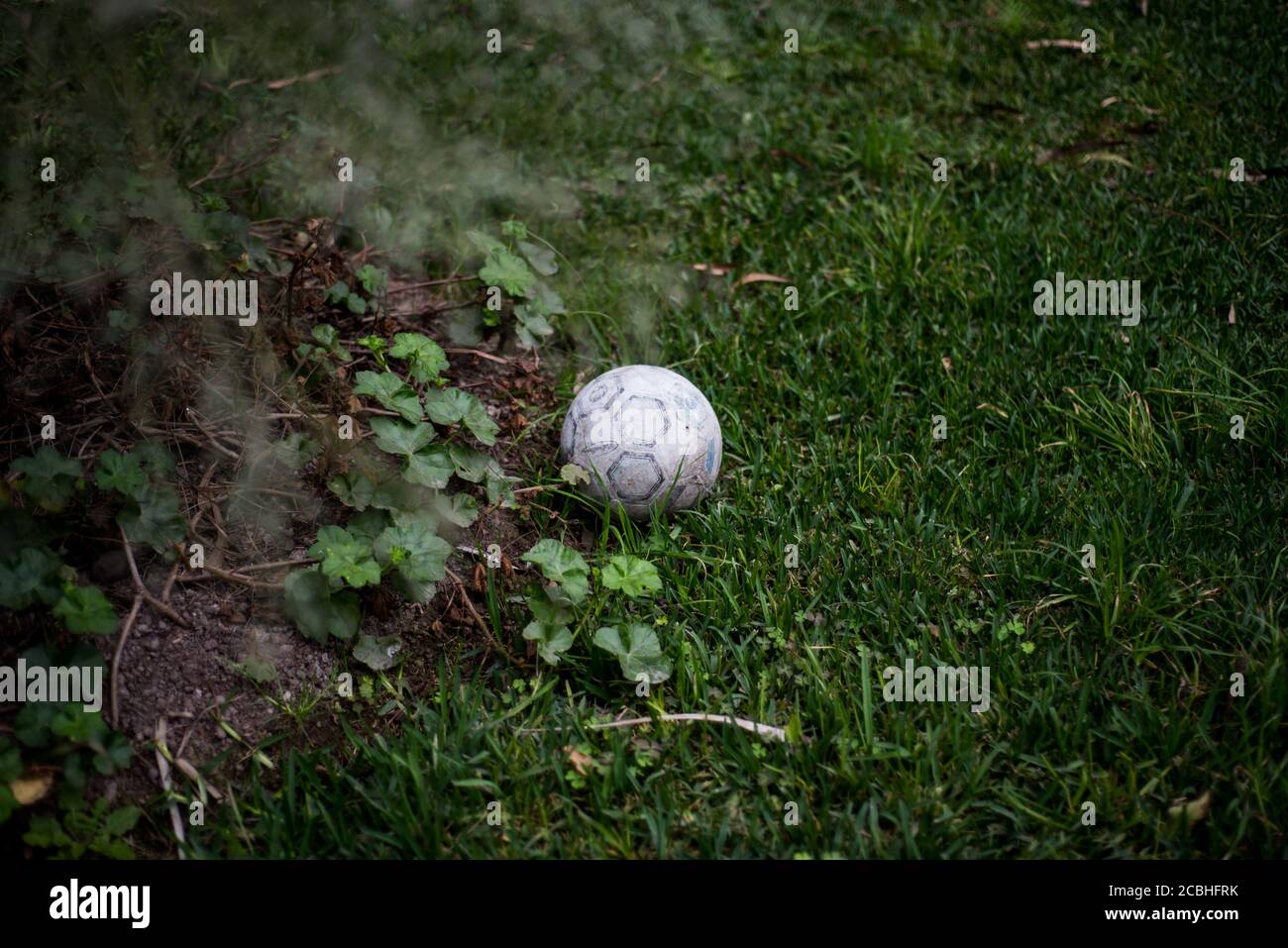 Low angle view of an old and dirty football abandoned in a garden next to a plant. Stock Photo