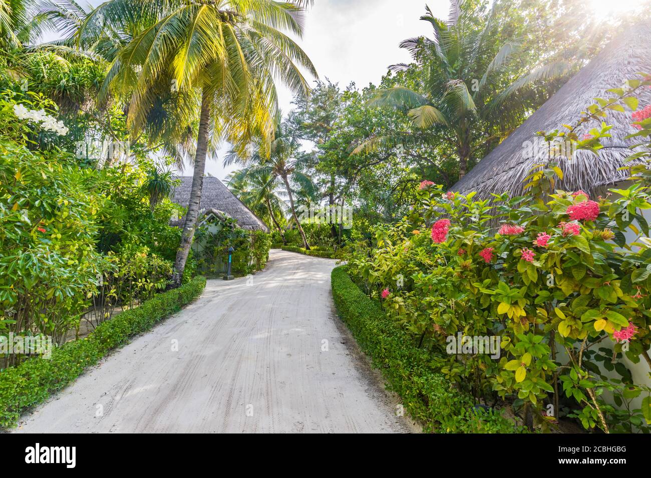Beach bungalows in Maldives. Tropical floral garden and palm trees with