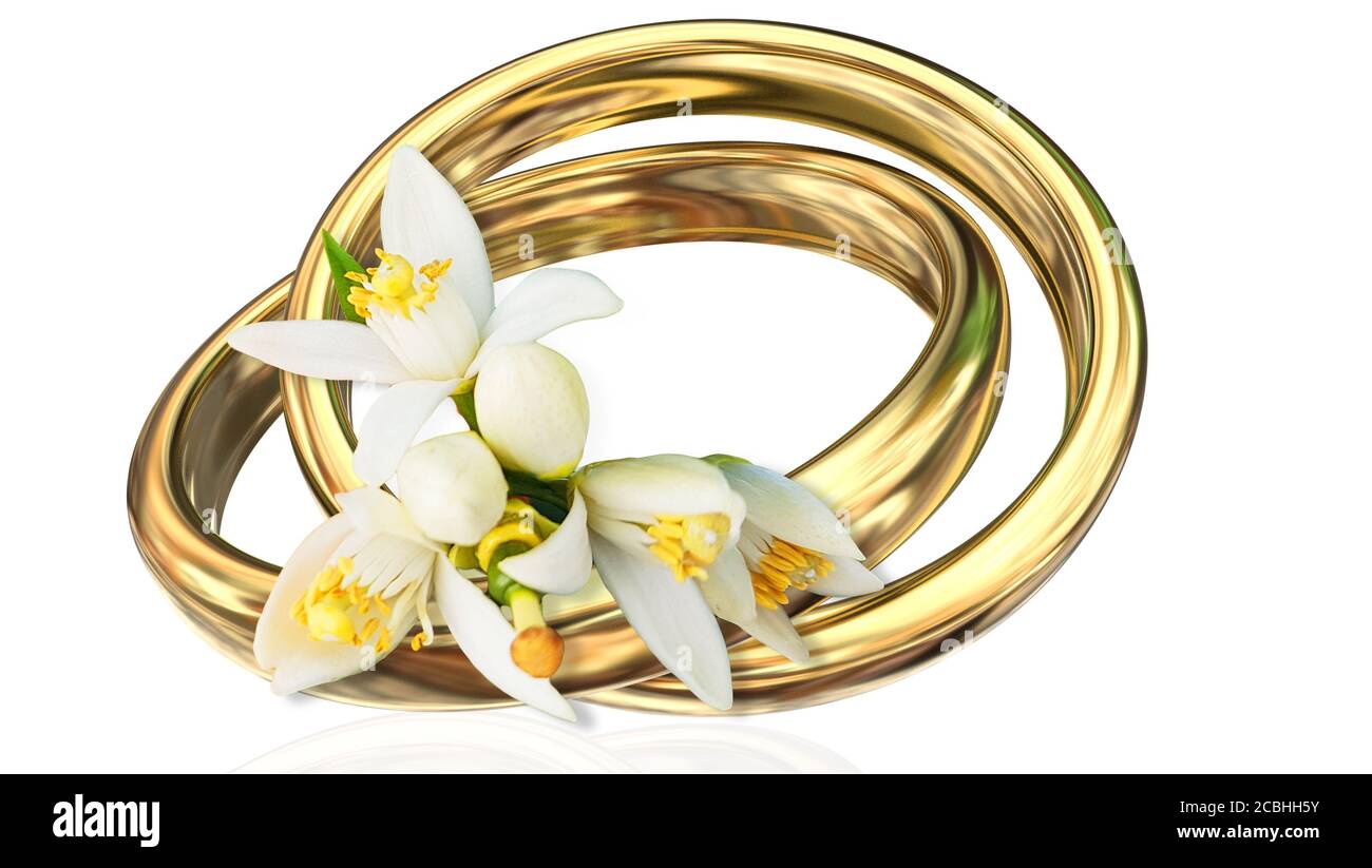 rings golden two 2 isolated  marriage and ornage tree flowers  interalaced - 3d rendering Stock Photo