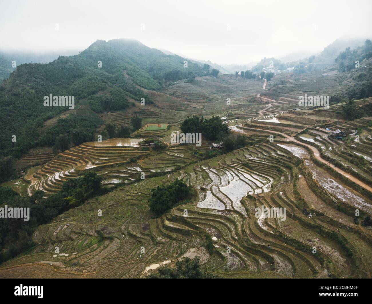 Panoramic view of Terraced rice field in Sapa, Lao Cai, Vietnam. the rainy season in Vietnam. Rice terraces in fog Stock Photo