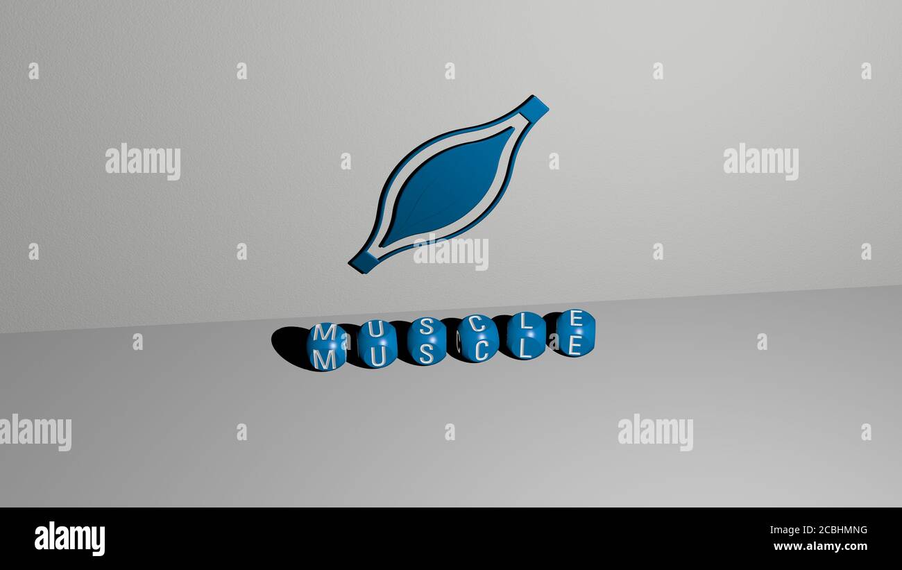 muscle 3D icon on the wall and text of cubic alphabets on the floor ...