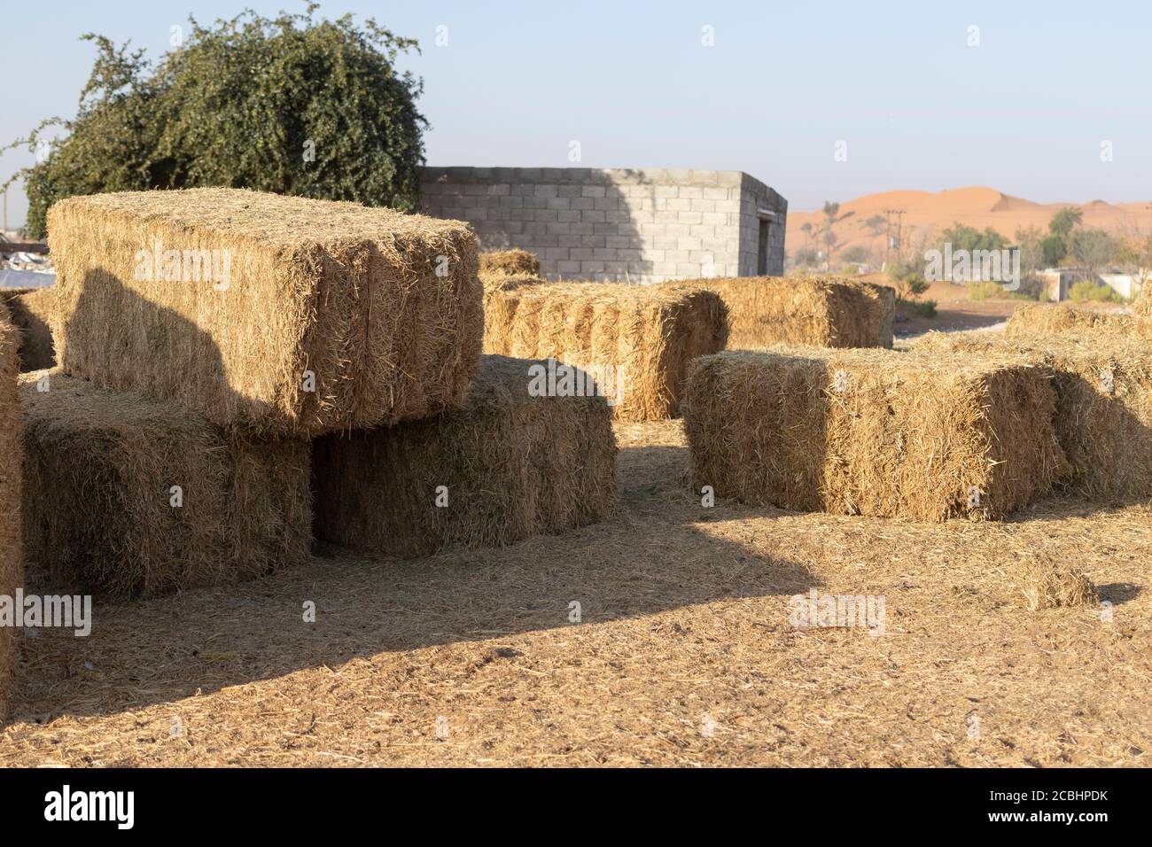 Wet haystacks hi-res stock photography and images - Alamy