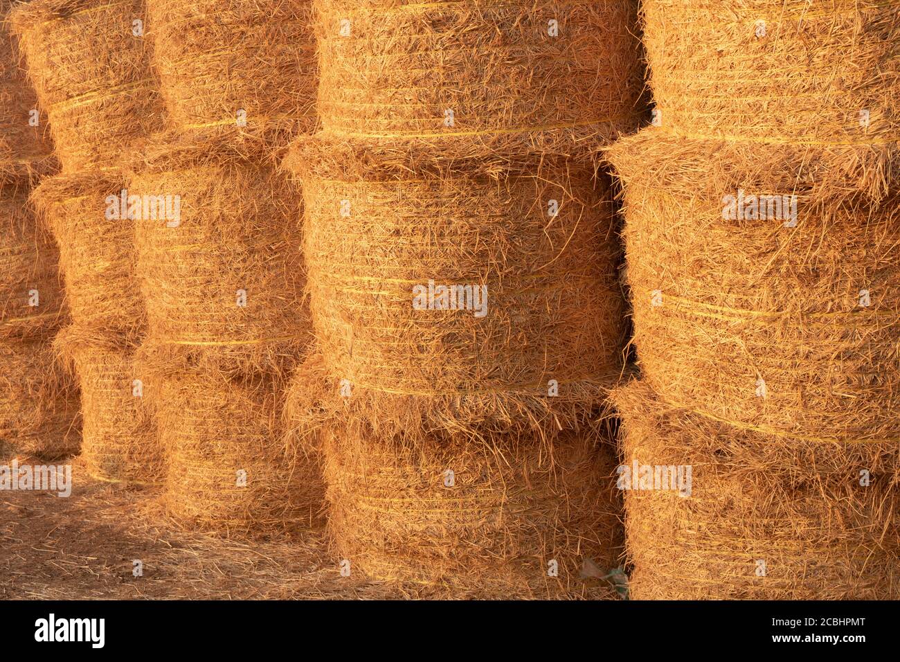 Wet Haystacks High Resolution Stock Photography and Images - Alamy