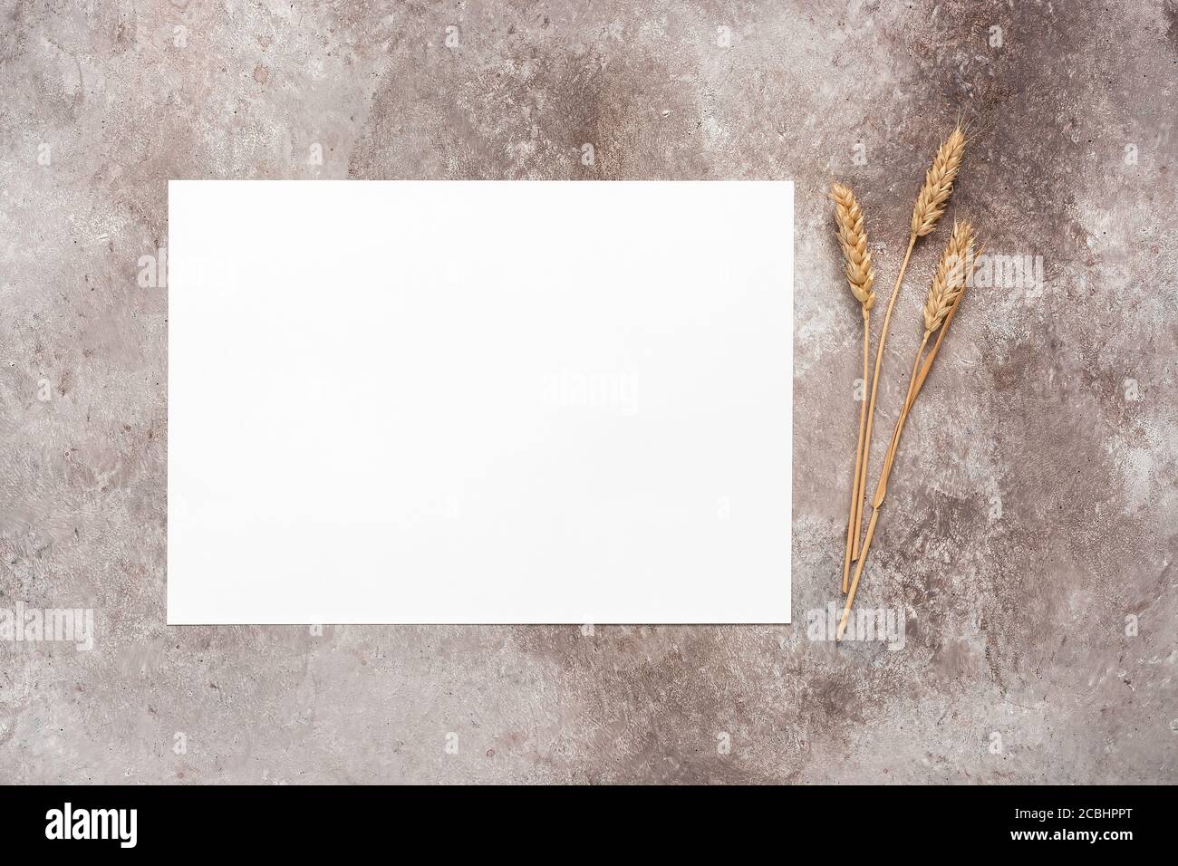 Download Business Card Mockup Blank Card And Ears Of Ripe Wheat Beige Grunge Background Minimalist Office Desktop Modern Brand Template Top View Flat Lay Stock Photo Alamy