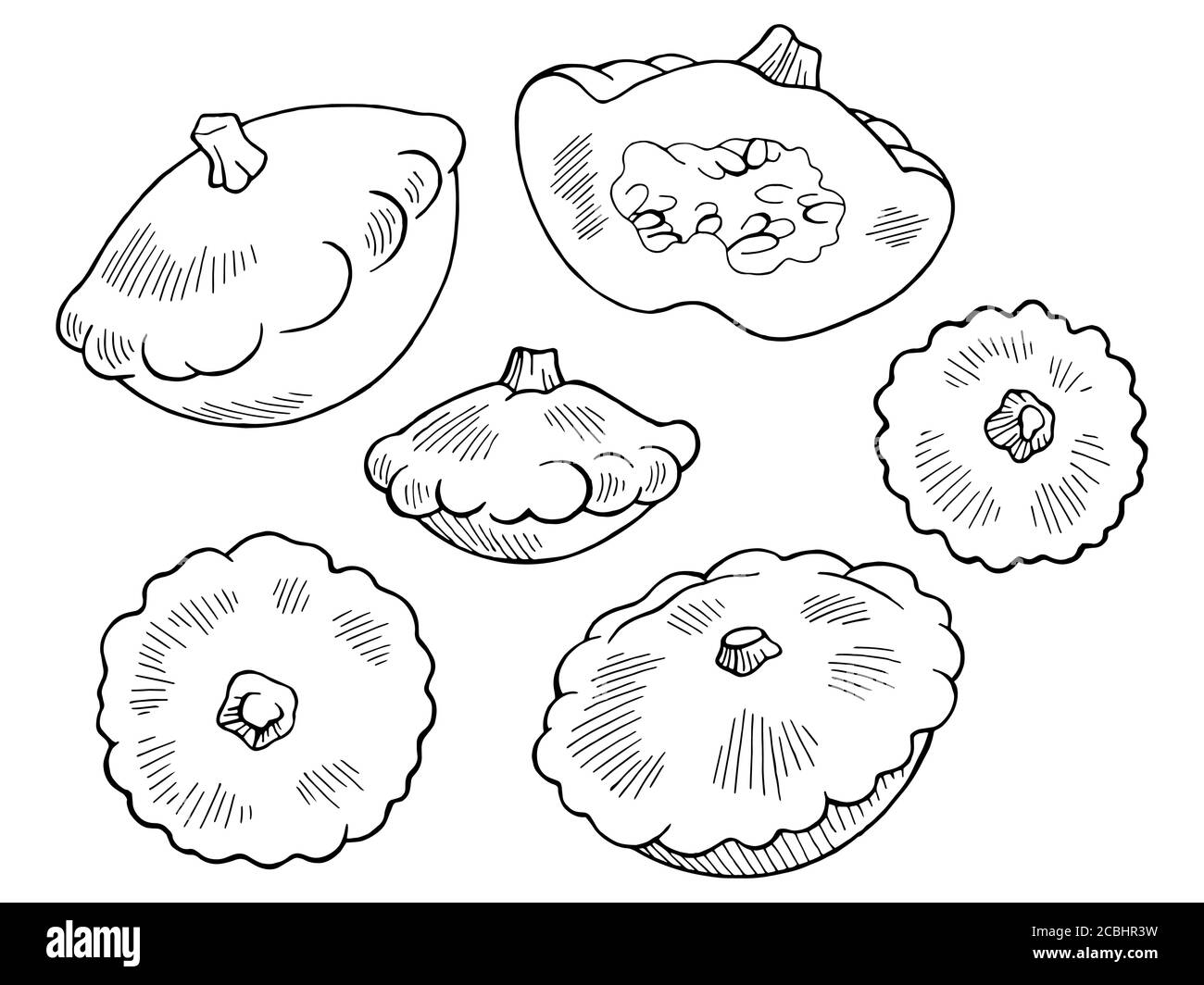 Pattypan squash graphic black white isolated sketch illustration vector Stock Vector