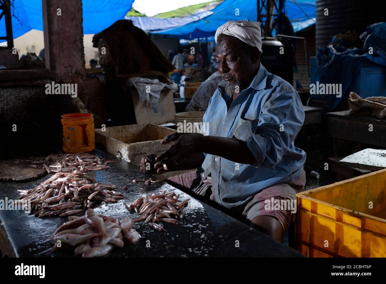 Fish seller at the Chalai market in Thiruvananthapuram Stock Photo