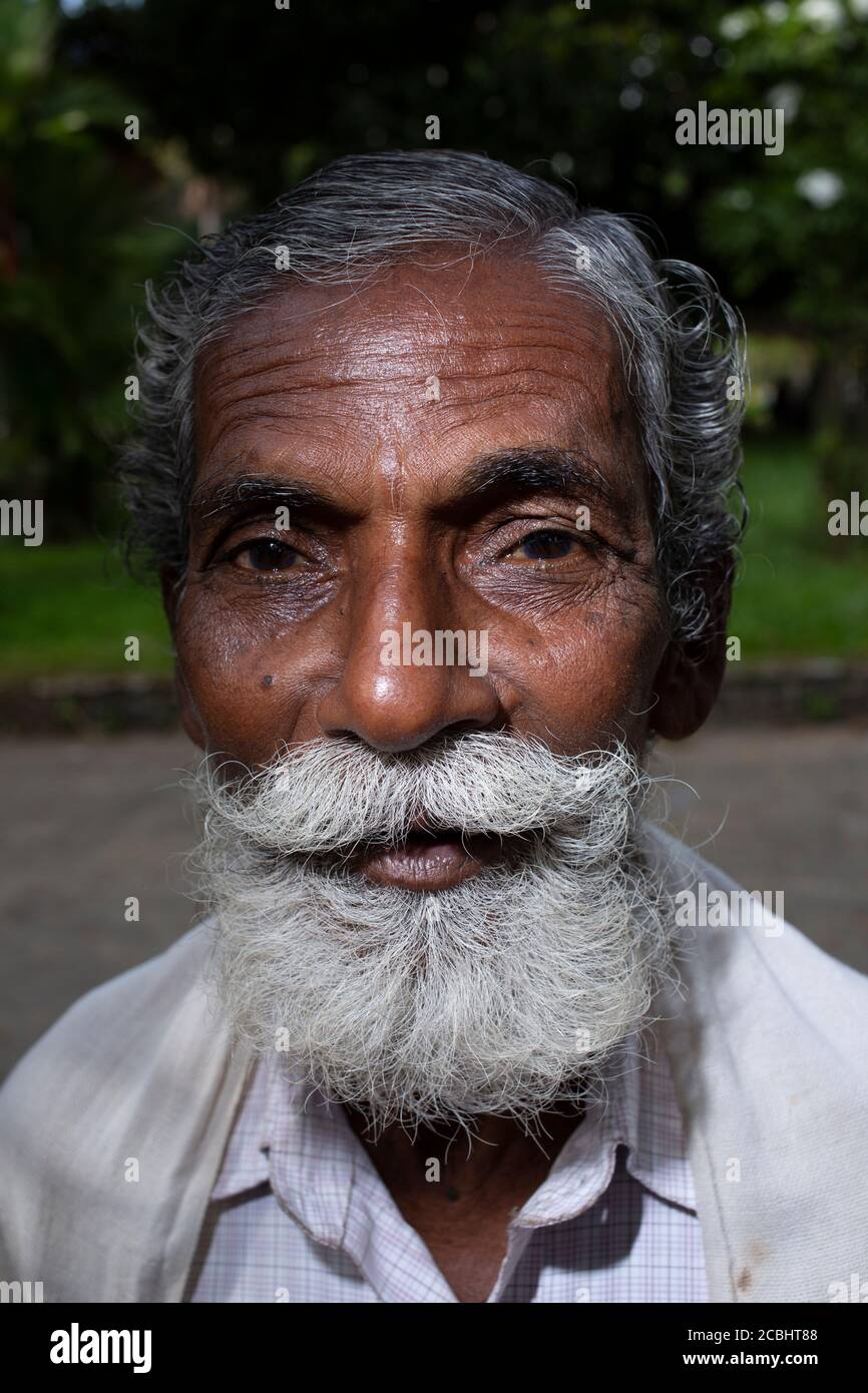 Old white bearded indian man hi-res stock photography and images - Alamy