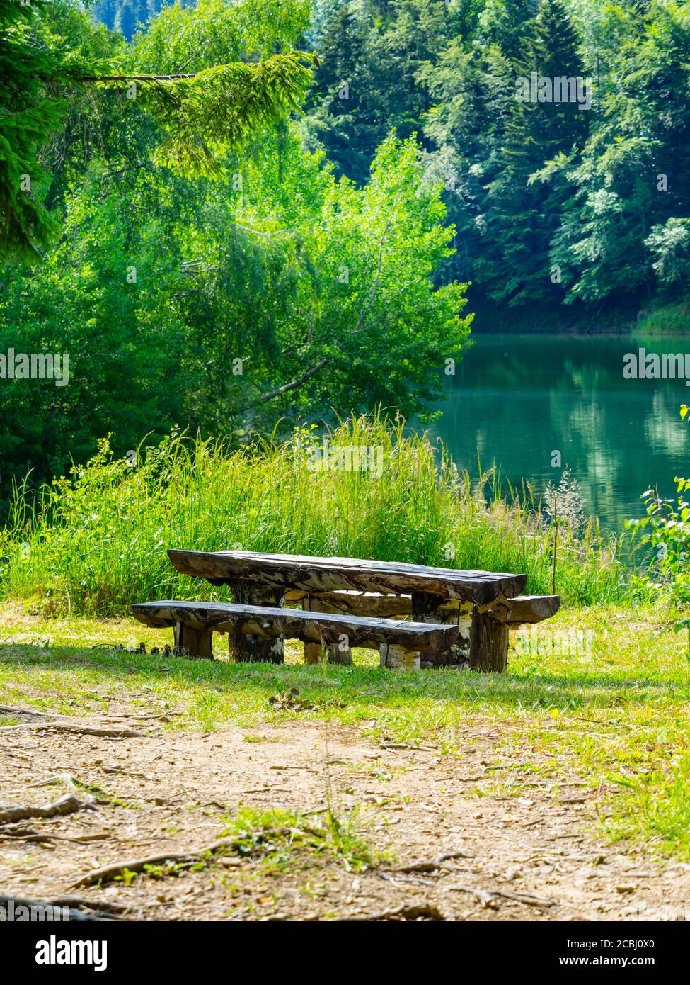 Green forest pretty beautiful preserved nature natural environment Spring season in lake Mrzla vodica in Croatia Europe Stock Photo