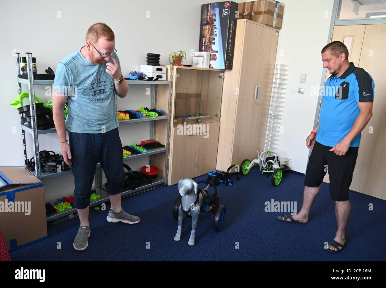 Brno, Czech Republic. 11th Aug, 2020. AnyOneGo, Czech company from Brno, manufactures prosthetics and wheelchairs for animals, most parts prints on 3D printers. On the photo co-founders of the company L-R Ivan Lukas and Martin Schenk show a wheelchair for a dog, on August 11, 2020, in Brno, Czech Republic. (CTK photo/Igor Zehl) Stock Photo