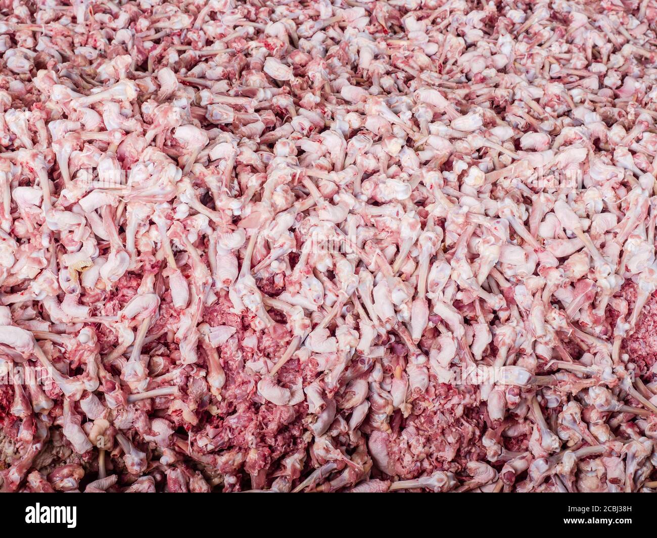 Byproducts from a chicken dressing plant at a rendering plant where the bones, intestines etc. will be processed to become meat and bone meal, a proet Stock Photo