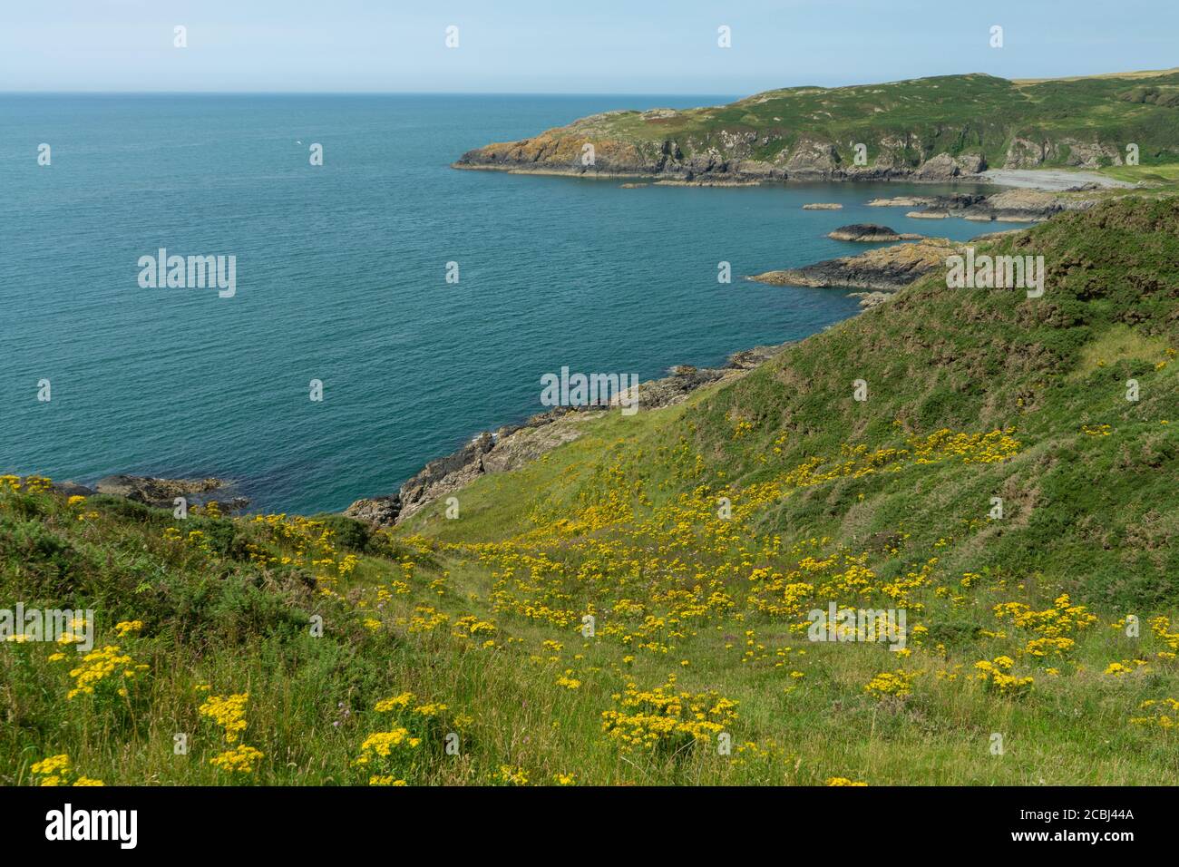 Southern upland way hi-res stock photography and images - Alamy