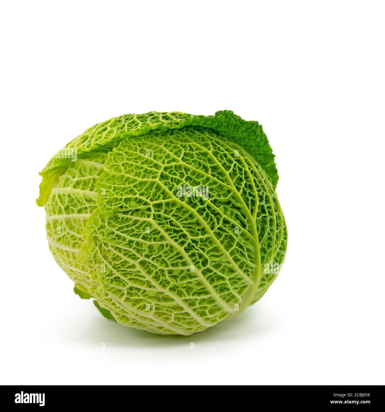 Savoy cabbage against a white background Stock Photo