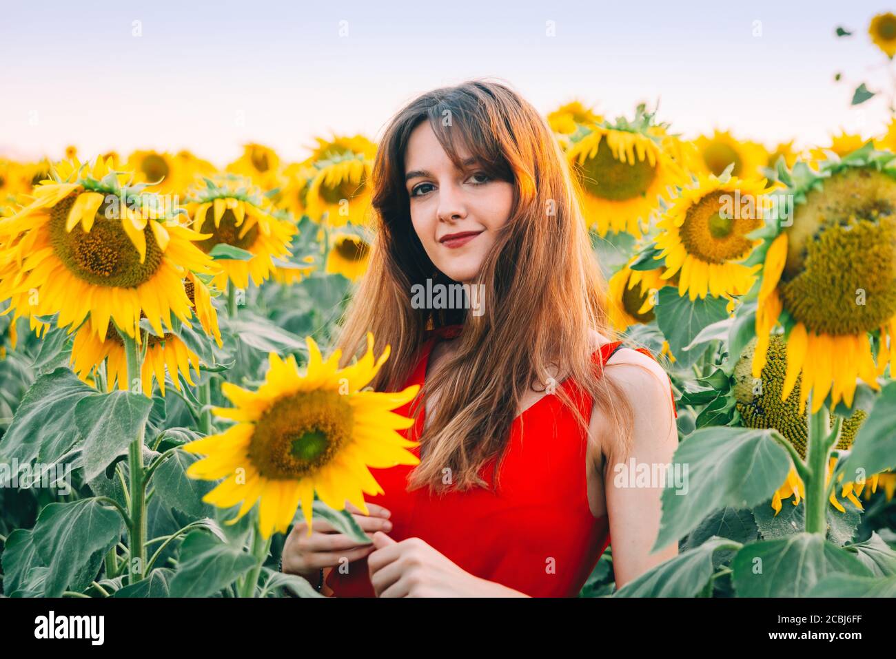 woman with red dress in sunflowers field. Stock Photo