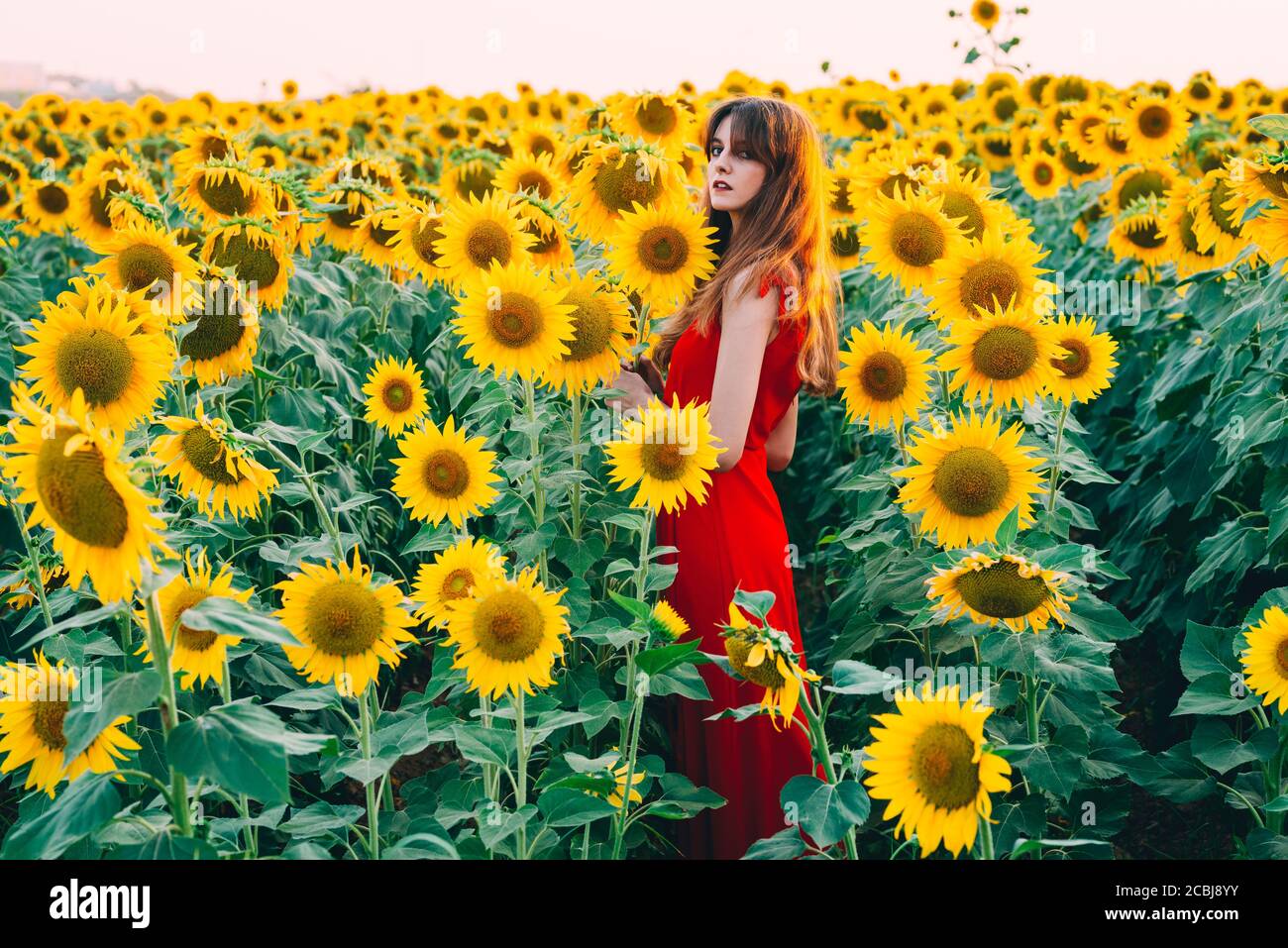 woman with red dress in sunflowers field Stock Photo