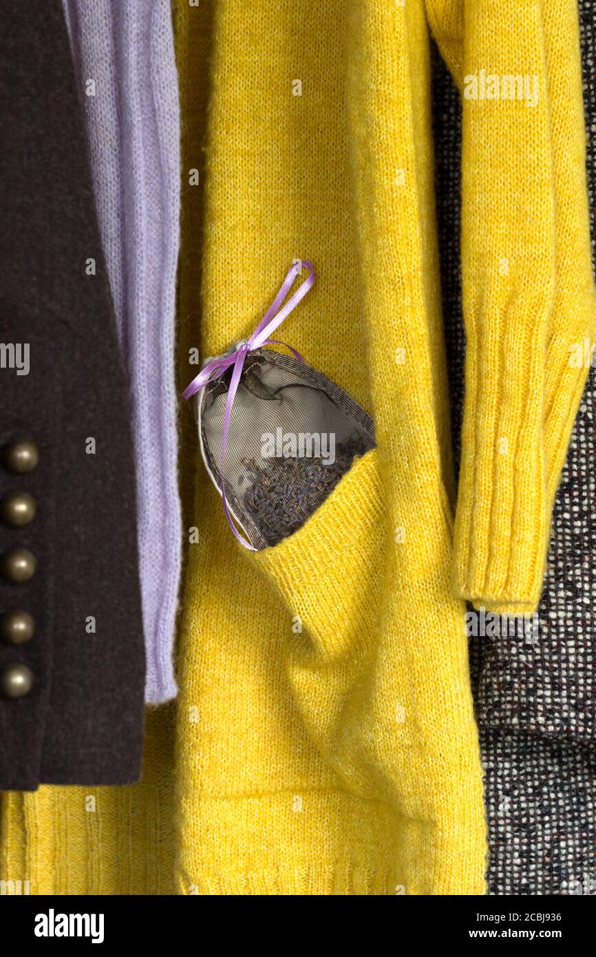 Lavender sachet in a woolen jacket pocket in a closet, moth repellent. Stock Photo