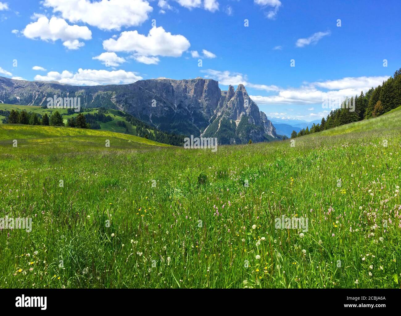 Seiser Alm,South Tyrol Stock Photo