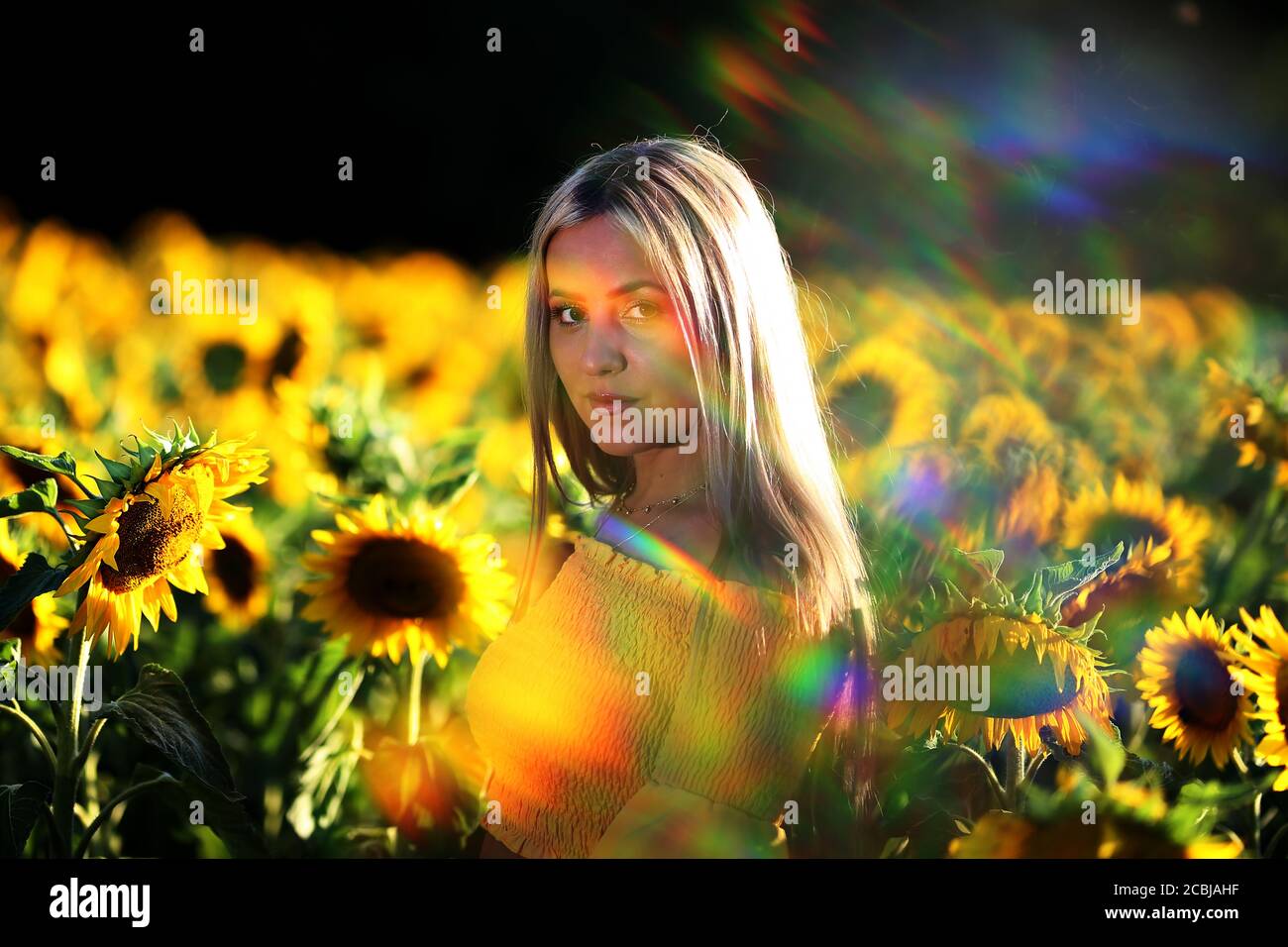 Portrait of a young girl in a sunflower field Stock Photo - Alamy