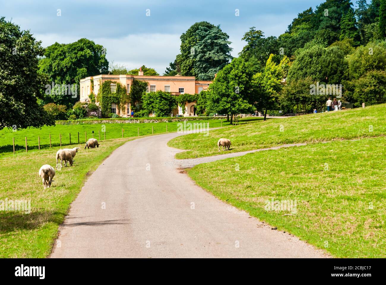 Killerton National Trust House and Garden in Devon. Stock Photo