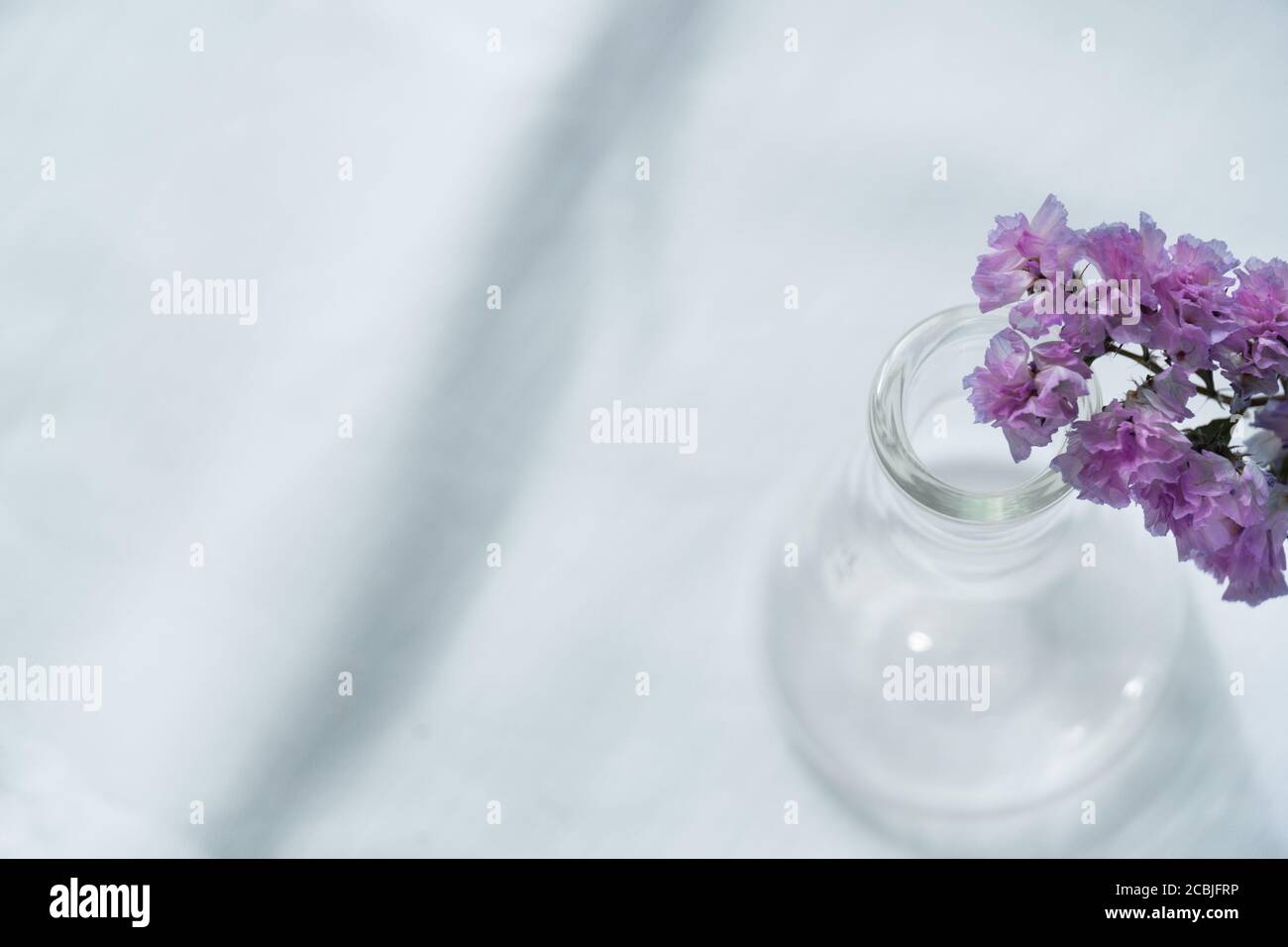 soft purple or violet flower from the top of glass science flask vase for natural cosmetic research fabric on white fabric background Stock Photo