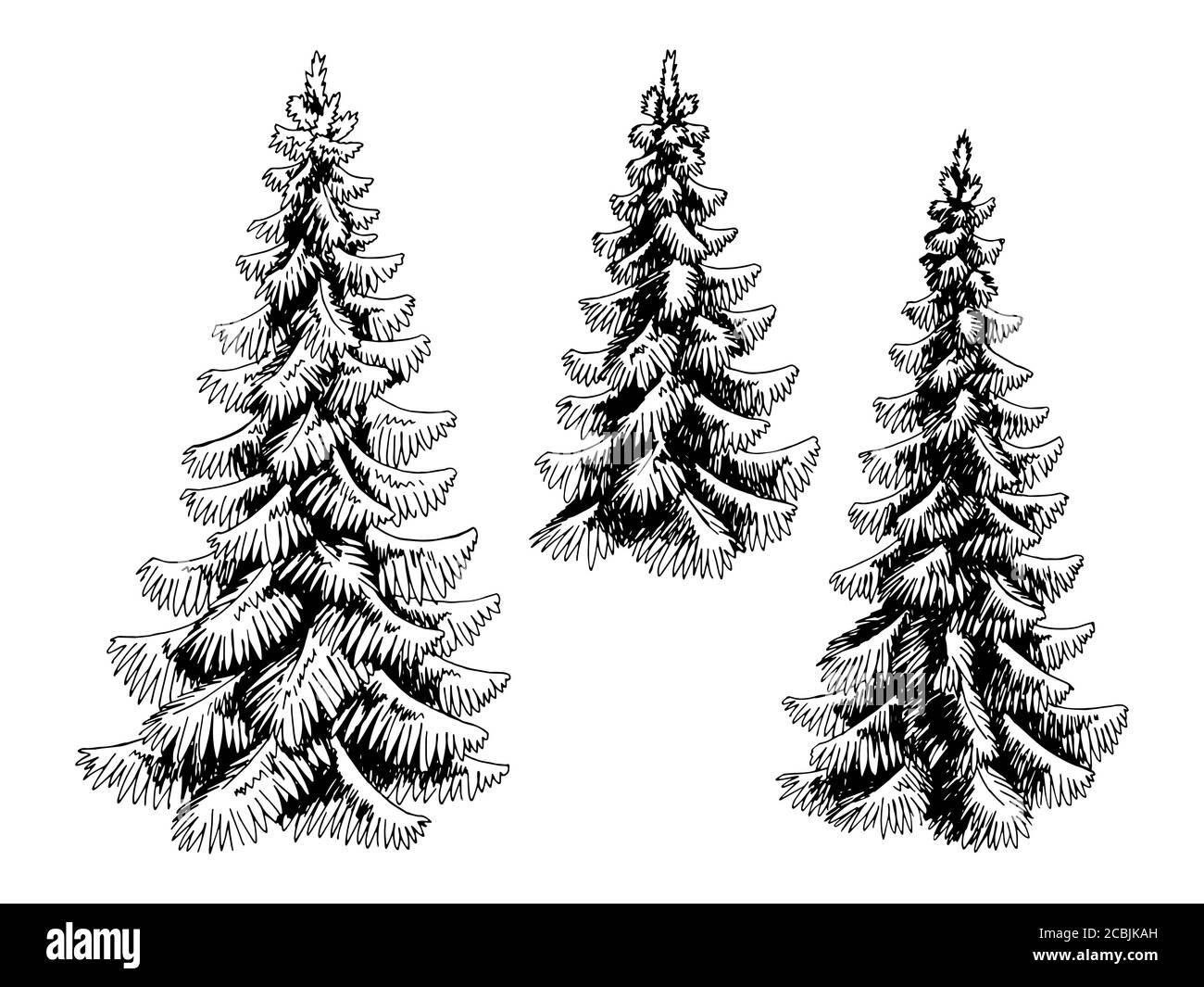 Fir tree set spruce graphic black white isolated sketch illustration vector Stock Vector