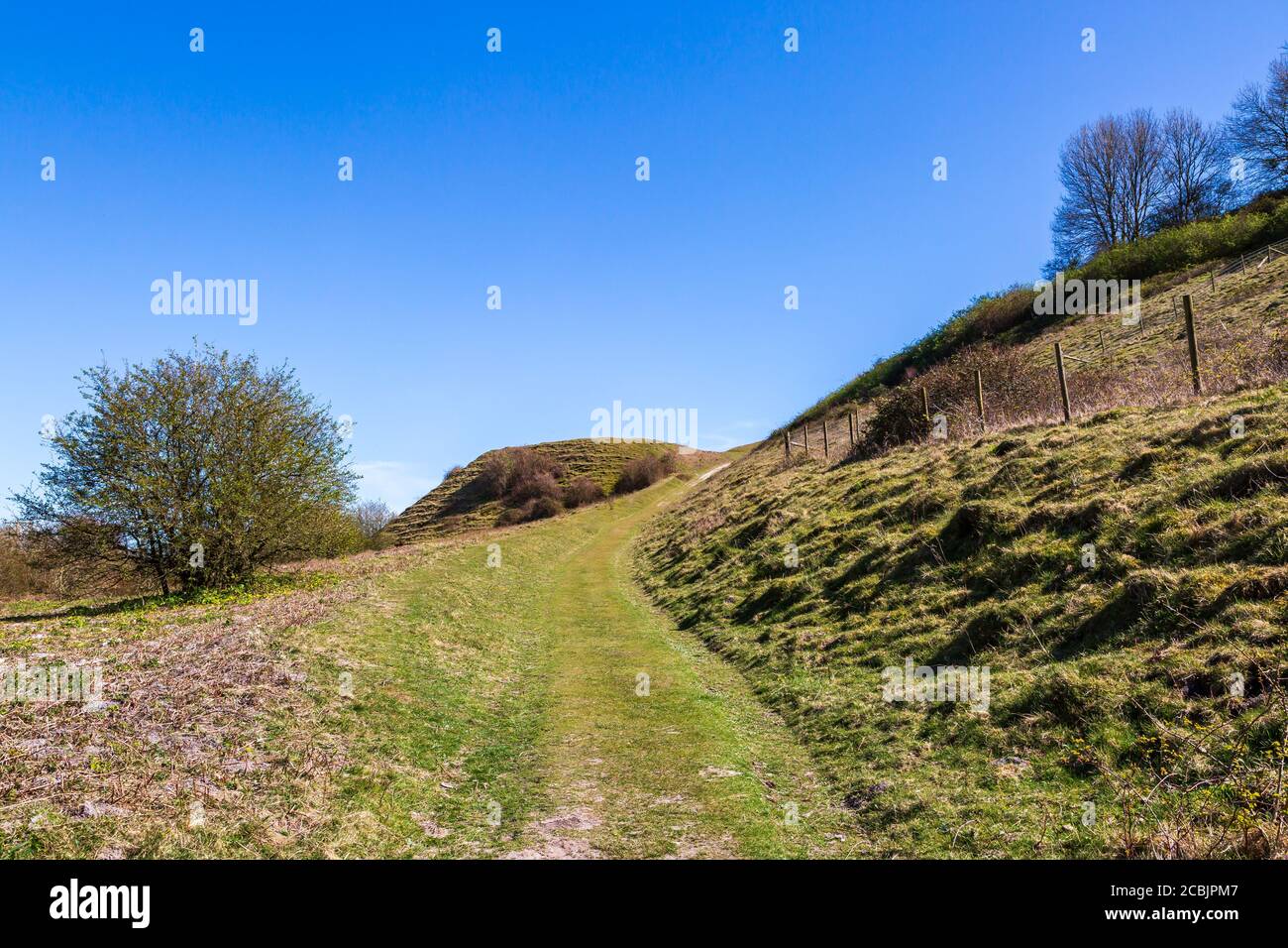 A pathway on Malling Down near Lewes on a sunny spring day Stock Photo