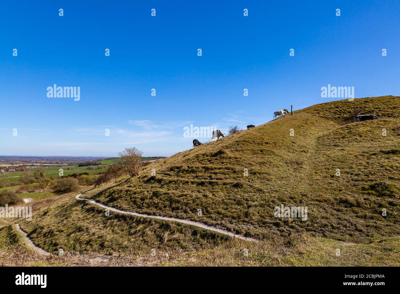 A view on Malling Down near Lewes, on a sunny spring day Stock Photo