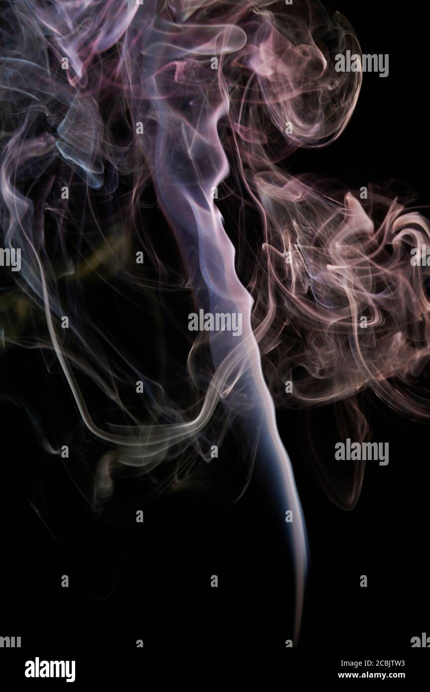 Purple curly transparent smoke flow on black background. Elegant ...