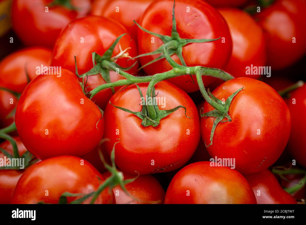 A full frame photograph of tomatoes for sale on a market stall Stock ...