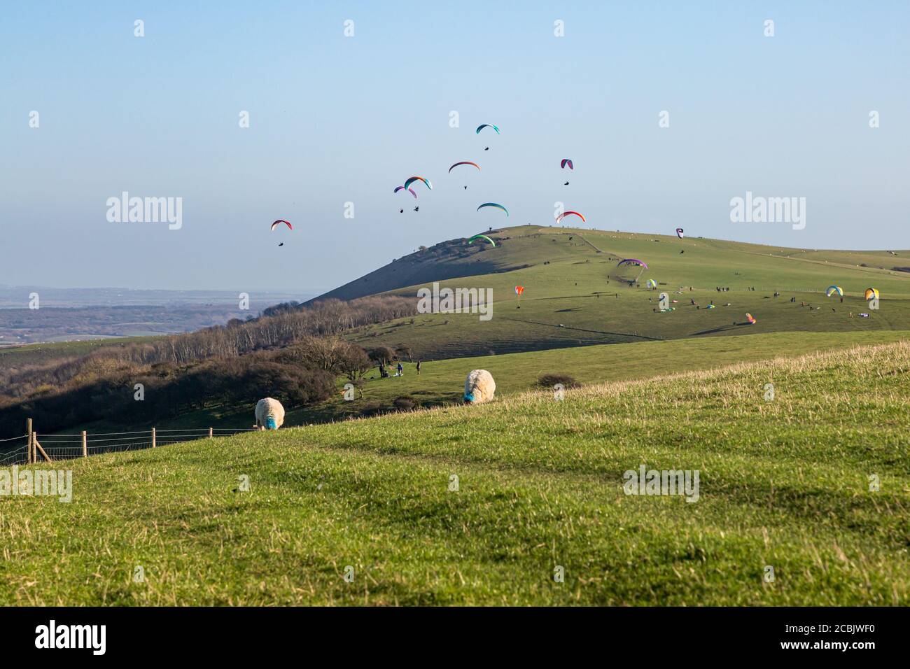 Paragliders in the sky over Firle Beacon in the South Downs, on a sunny winters day Stock Photo