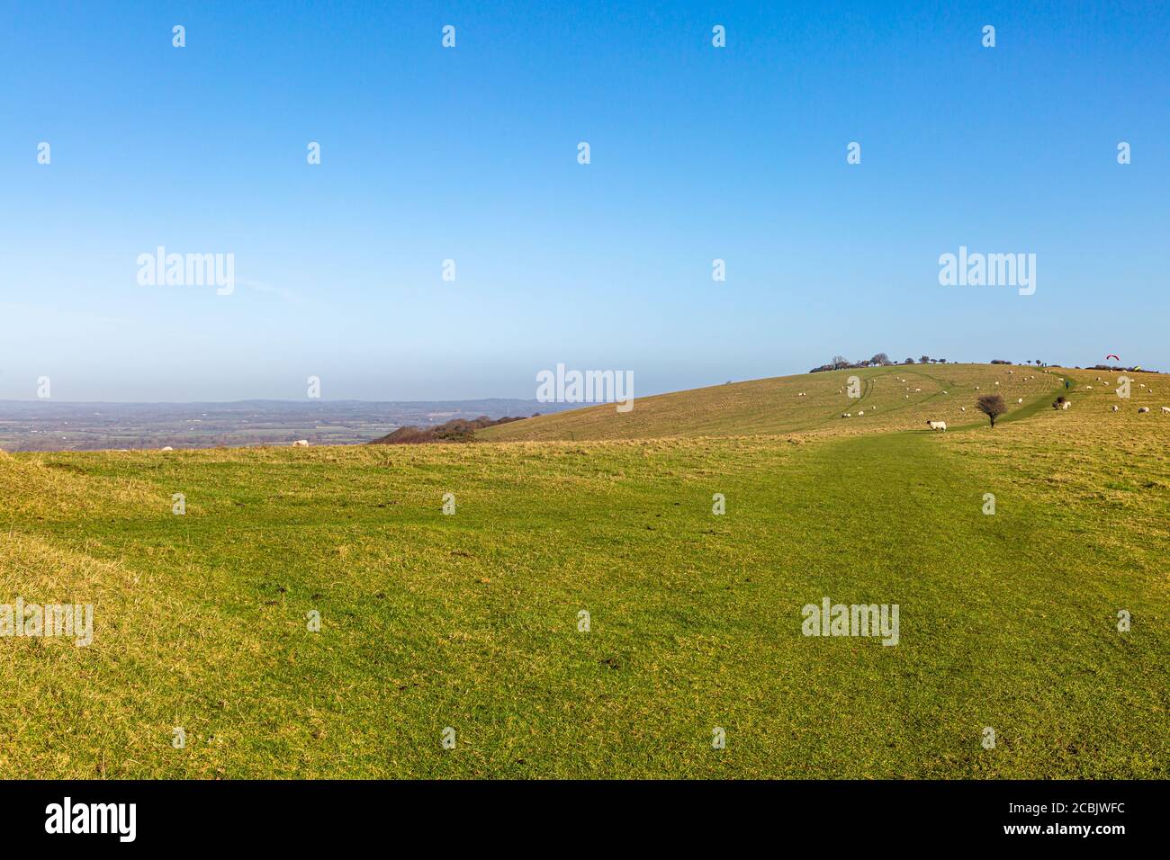 A view of the South Downs with sheep grazing in the distance, at Firle Beacon in Sussex Stock Photo