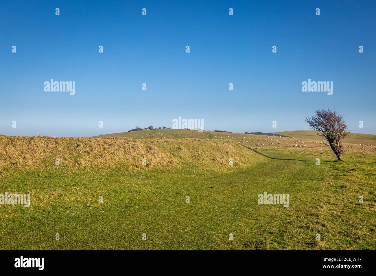 A grassy path along the South Downs Way in Sussex on a sunny winters day Stock Photo