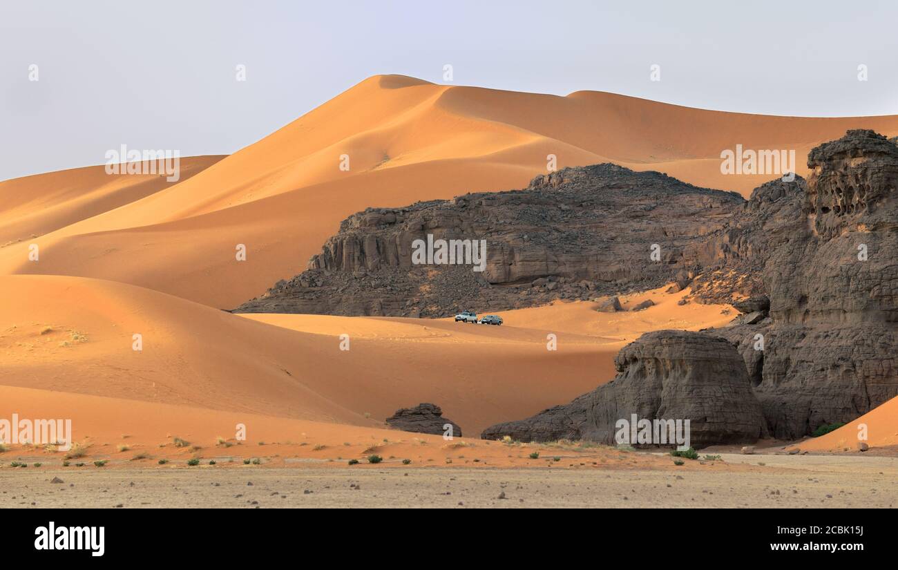 BIG SAND DUNES IN TIN MERZOUGA TADRART REGION IN ALGERIA. SAHARA DESERT  DUNES IN ALGERIA Stock Photo - Alamy