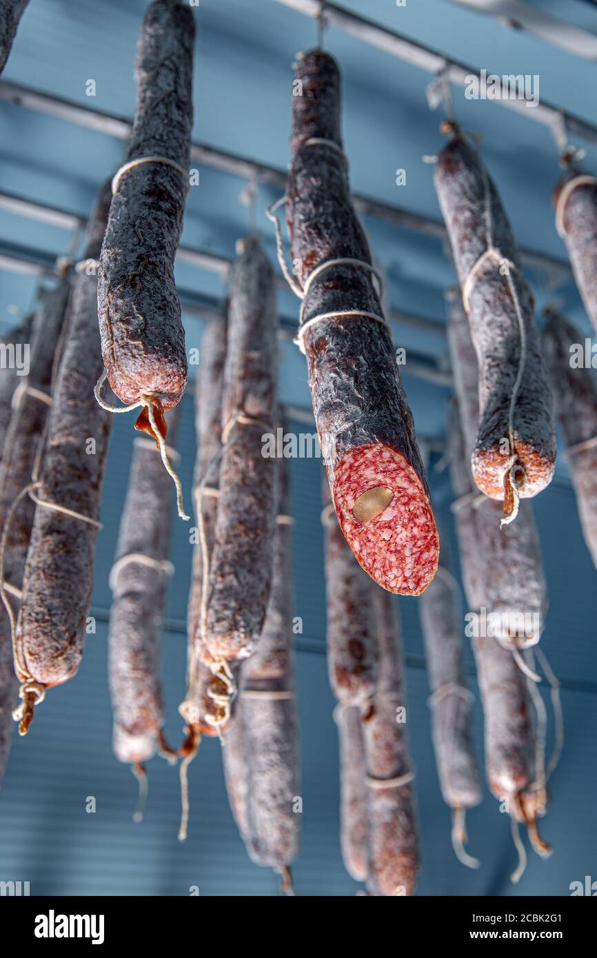 Tasty gourmet salami. Stock Photo