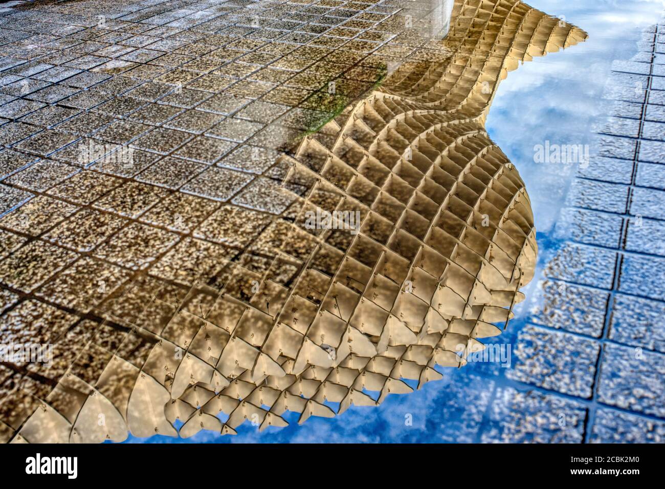 Metropol Parasol structure reflected on a rain puddle, Seville, Spain Stock Photo